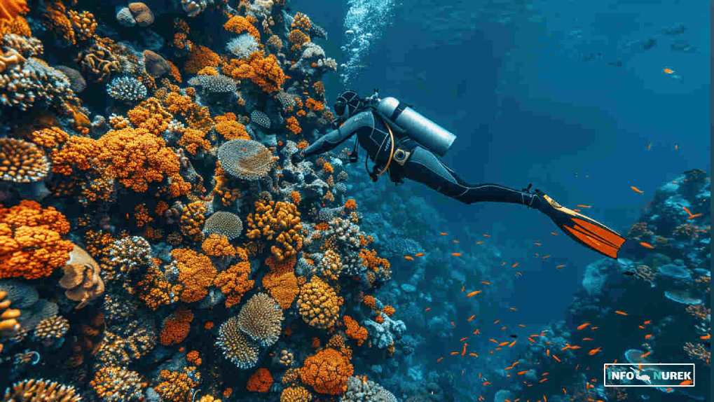 Najlepsze miejsca do freedivingu w Polsce i na świecie